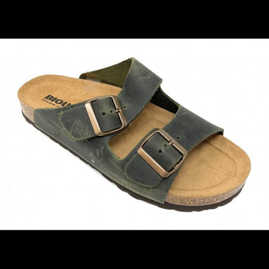 Bioline 420 - Ingrassato Cipresso - Blogside