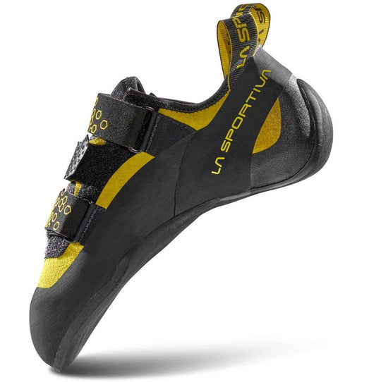 Miura VS (2023) - Bshop