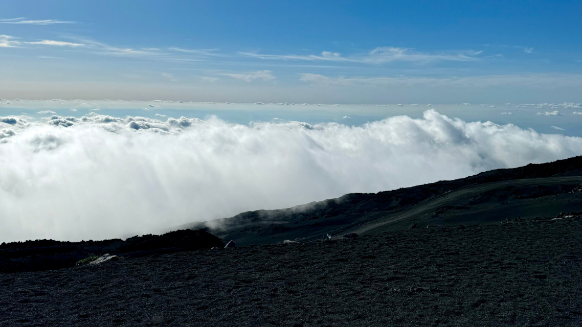 Black Friday - Blogside