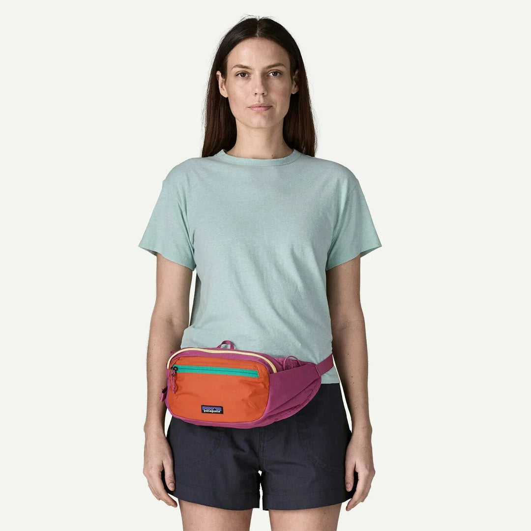 Terravia Hip Pack