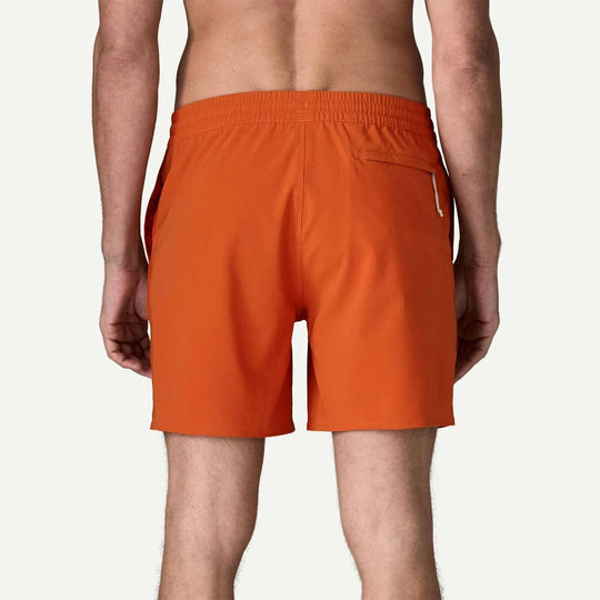 M's Hydropeak Volley Shorts
