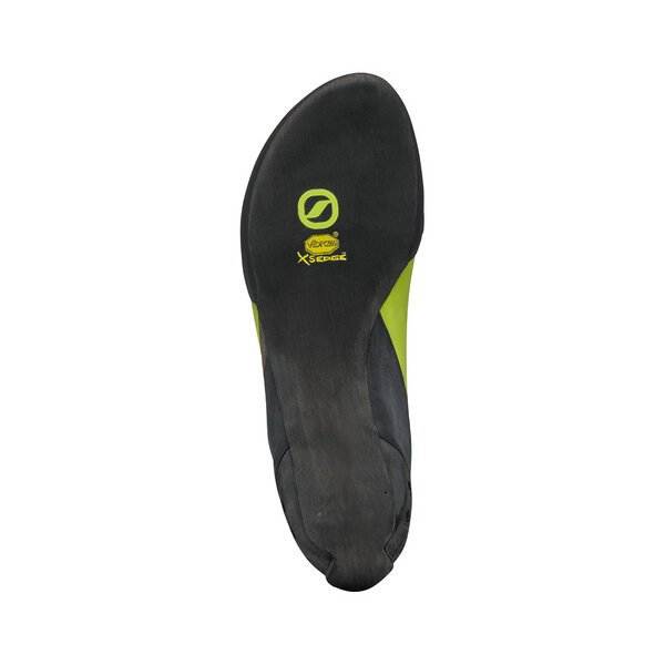 Maestro Mid Eco - Bshop