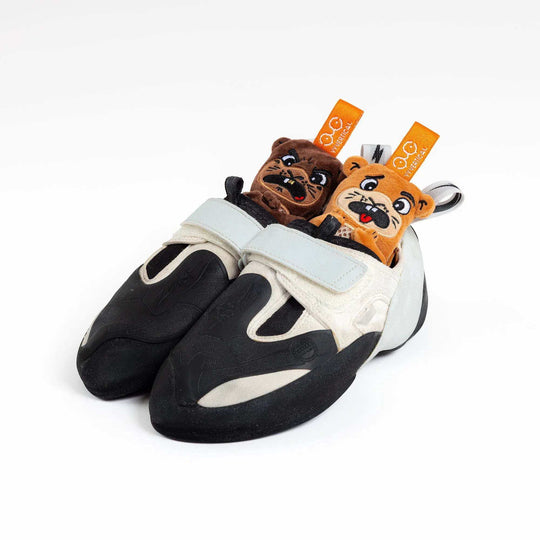 Y&amp;Y Vertical Smellstopper Marmot - utilizzo nelle scarpette