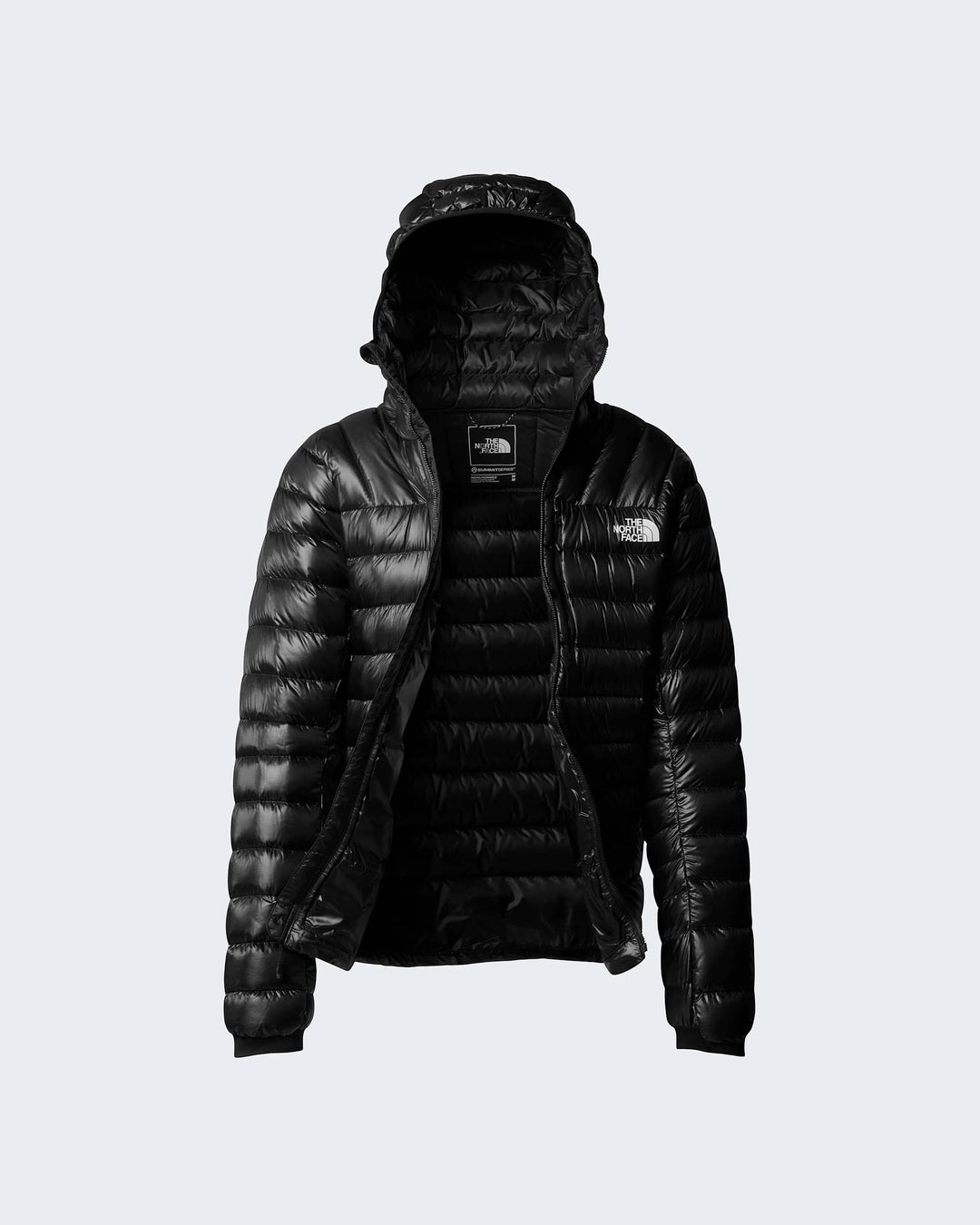 The North Face M Summit Breithorn Hoodie - TNF Black - ALT17