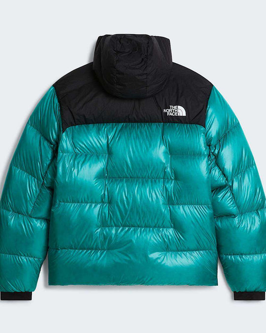 The North Face M Summit Nuptse Jacket NF0A8H3DQW5-ALT31