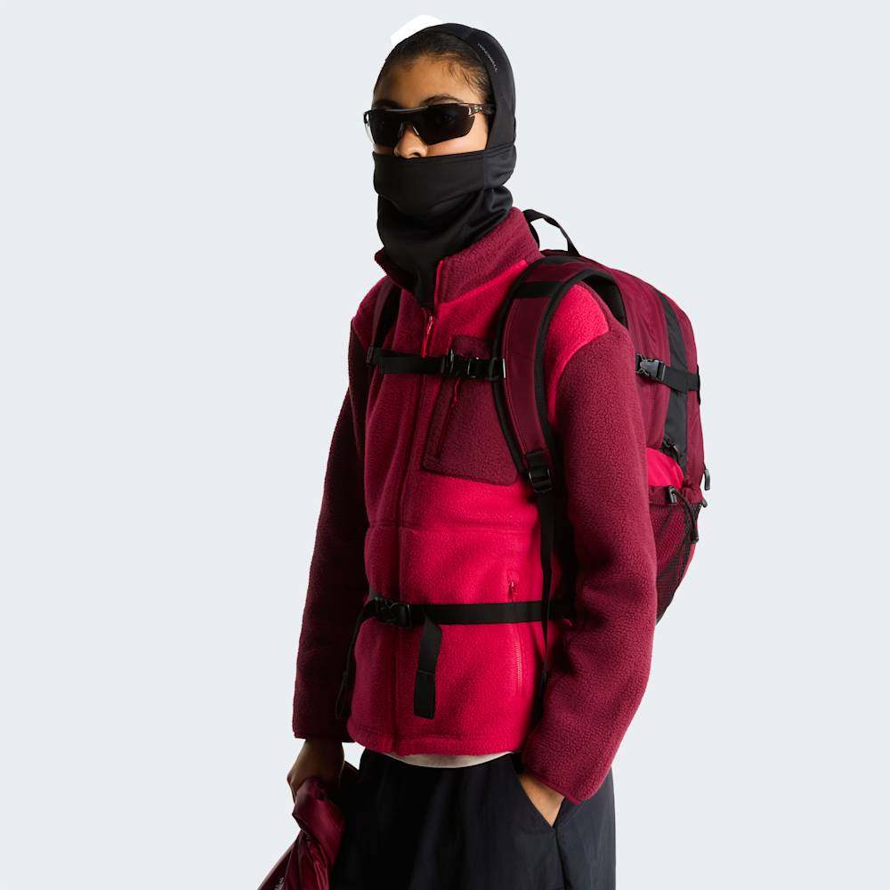The North Face Hot Shot Se - Burgundy Crush/Lali Gur - ALT8