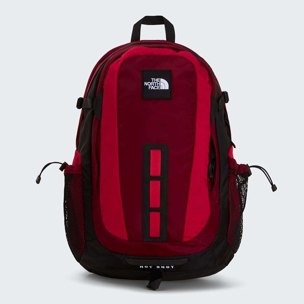 The North Face Hot Shot Se Burgundy Crush/Lali Gur ALT4