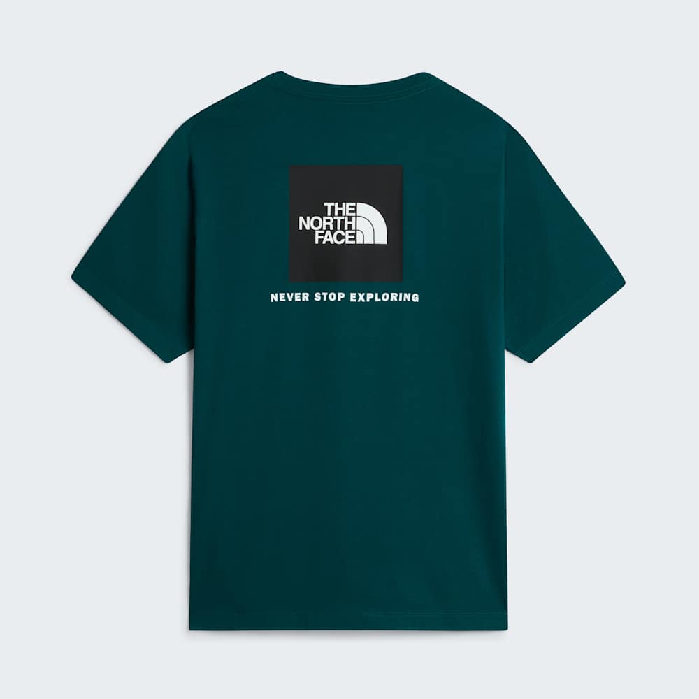 The North Face M Evolution Box Nse Regular Short Sleeve Pacific Teal ALT31