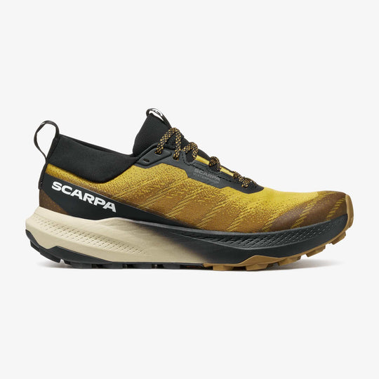 Golden Gate Lt Wp — Black/Sulphur vista 1