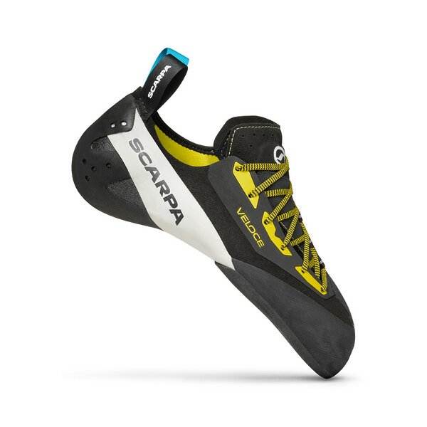 Veloce L - Bshop