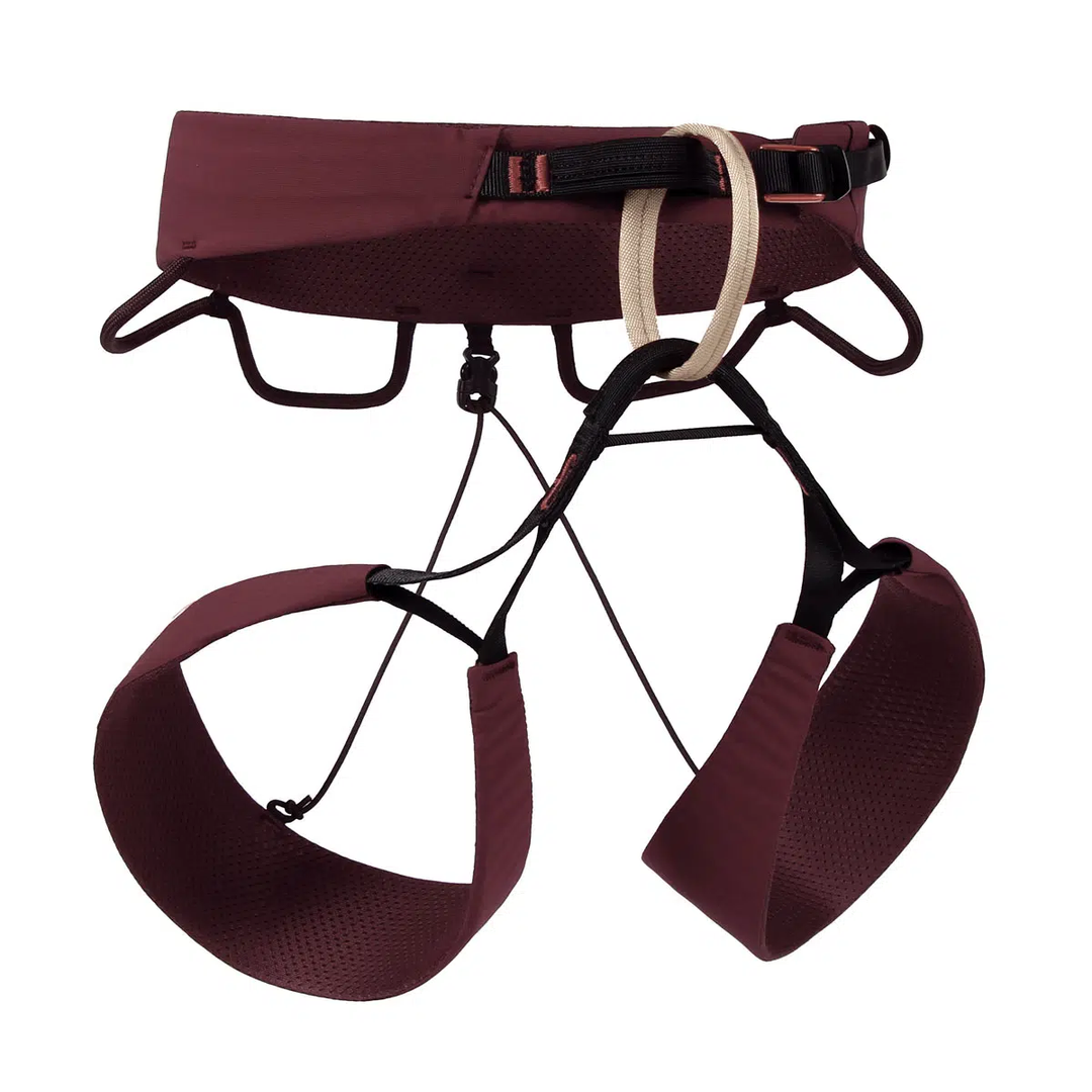 Cuesta Harness - Bshop